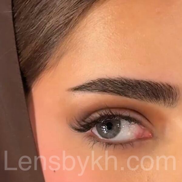 Bassia grey